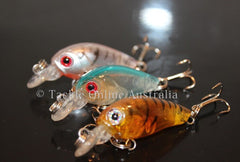 Crank Lures